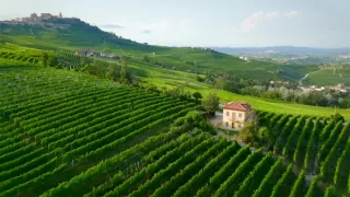 Milovníci vína (11/12)