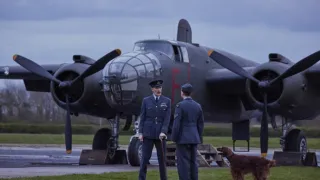 Všechny velké a malé bytosti V