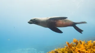 Cesty kolem světa (5/12)