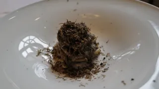 Manu a Matěj na cestě po střední Itálii (6/10)