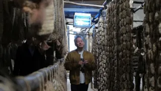 Manu a Matěj na cestě po střední Itálii (6/10)