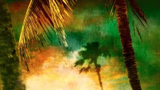 CSI: Miami helyszínelők VIII (8)