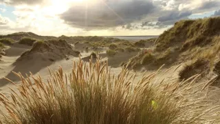 Příroda Nizozemska