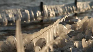 Příroda Nizozemska