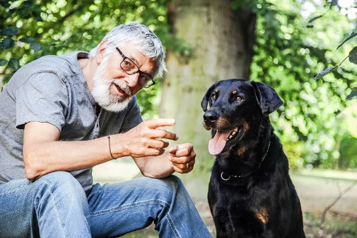 Teória tigra, 2015 - fotogaléria