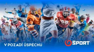 V pozadí úspechu (134)