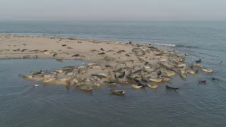 Příroda Nizozemska