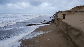 Příroda Nizozemska