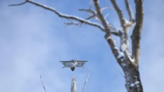 Zázračná planeta: Savci (6/6)