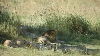 Na cestě po jihoafrické Mpumalanze