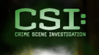 CSI: A helyszínelők VII (21)