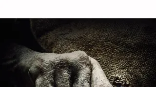 Hlasy mrtvých