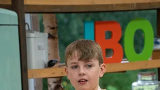 Peče celá Británie Junior IX