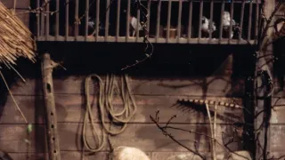 Padla kosa na kámen