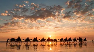 Cesty kolem světa (6/12)