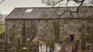 Všechny velké a malé bytosti V