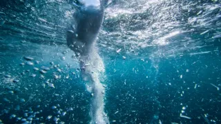 Zázračná planeta: Asie (1/7)