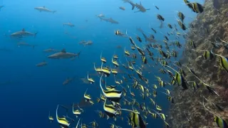 Zázračná planeta: Asie (1/7)