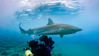 Zázračná planeta: Asie (1/7)