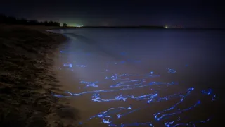 Zázračná planeta: Asie (1/7)