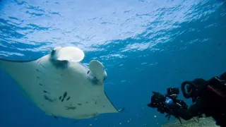 Zázračná planeta: Asie (1/7)