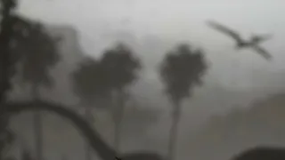 Tajemství ptačích obrů