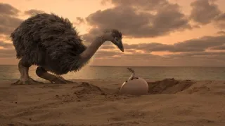 Tajemství ptačích obrů