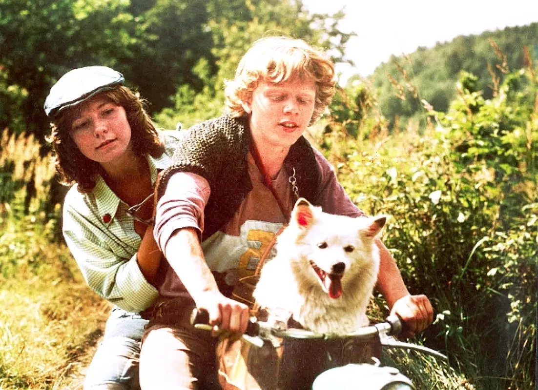 Kopretiny pro zámeckou paní (Marguerites for the Lady of the Castle), 1981 - fotogaléria