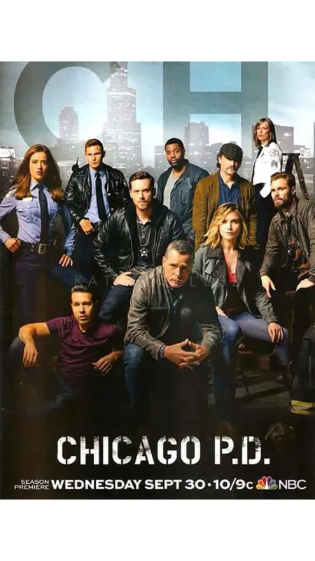 Polícia Chicago, 2015 - fotogaléria