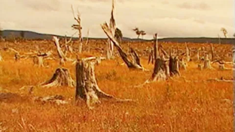 Apokalypsa a konec světa