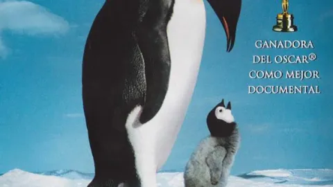 Putování tučňáků