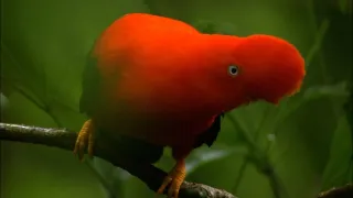Přírodní krásy světa