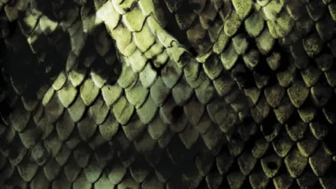 Anakonda: Honba za krvavou orchidejí