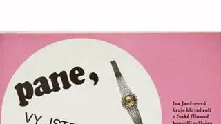 Pane, vy jste vdova!