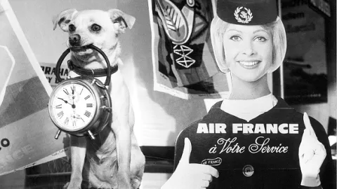 Konec agenta W4C prostřednictvím psa pana Foustky