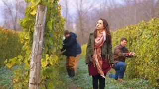 Můj tajný Valentýn