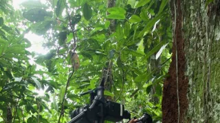 Kořeny života (1/3)