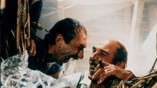 Černá kočka, bílý kocour