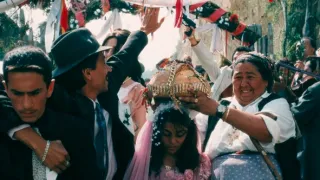 Černá kočka, bílý kocour