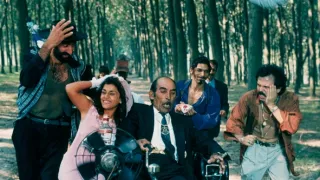 Černá kočka, bílý kocour