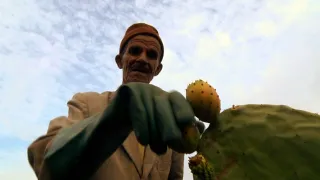 Na cestě po Guelmimu