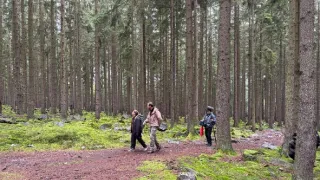 Zpátky do přírody