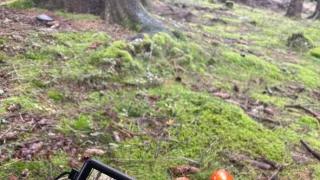 Zpátky do přírody