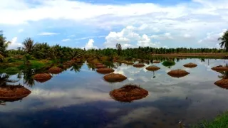 Na cestě po deltě Mekongu