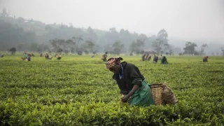 Na cestě po střední Rwandě