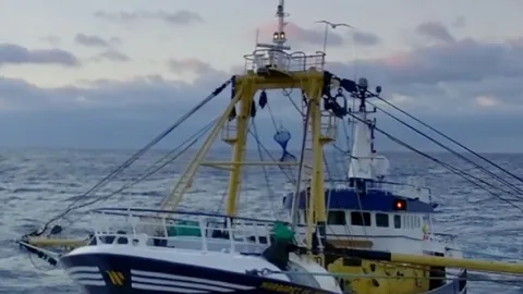 Honba za úlovkem (3)