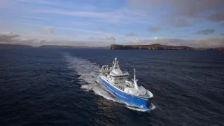 Honba za úlovkem (3)