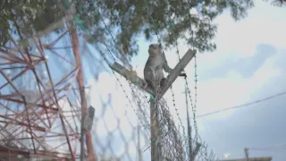 Příroda na kliknutí