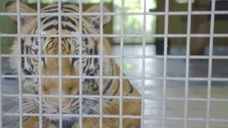 Příroda na kliknutí