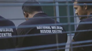 Příroda na kliknutí